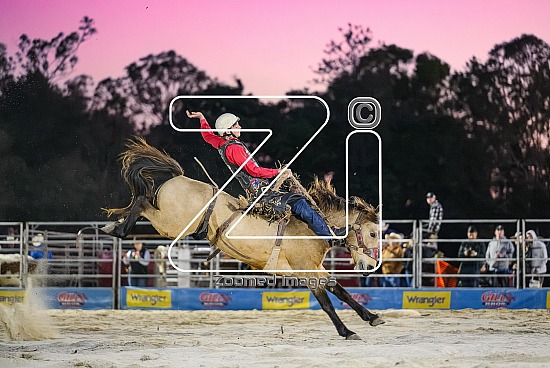 Tamborine Rodeo
