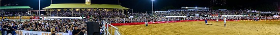 Brisbane Stampede